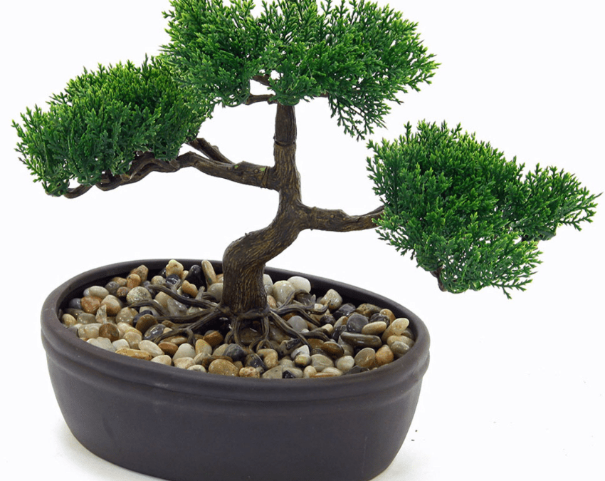 Plante artificielle bonsaï et pot céramique