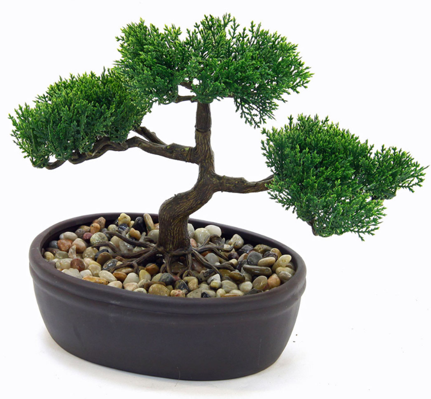 Plante artificielle bonsaï et pot céramique