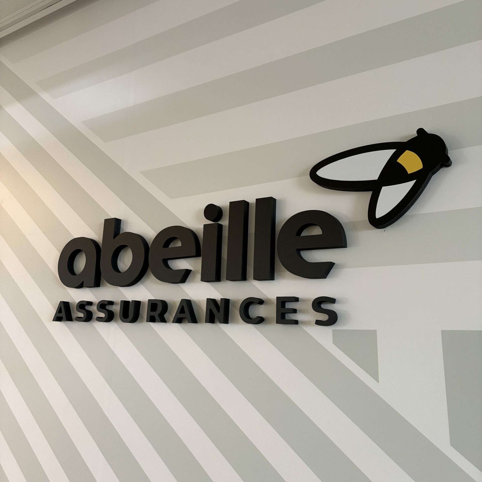 Logo en PVC