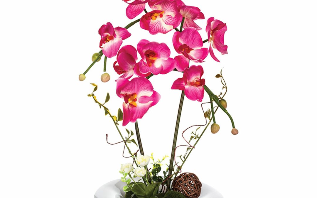 Composition florale orchidée et vase céramique