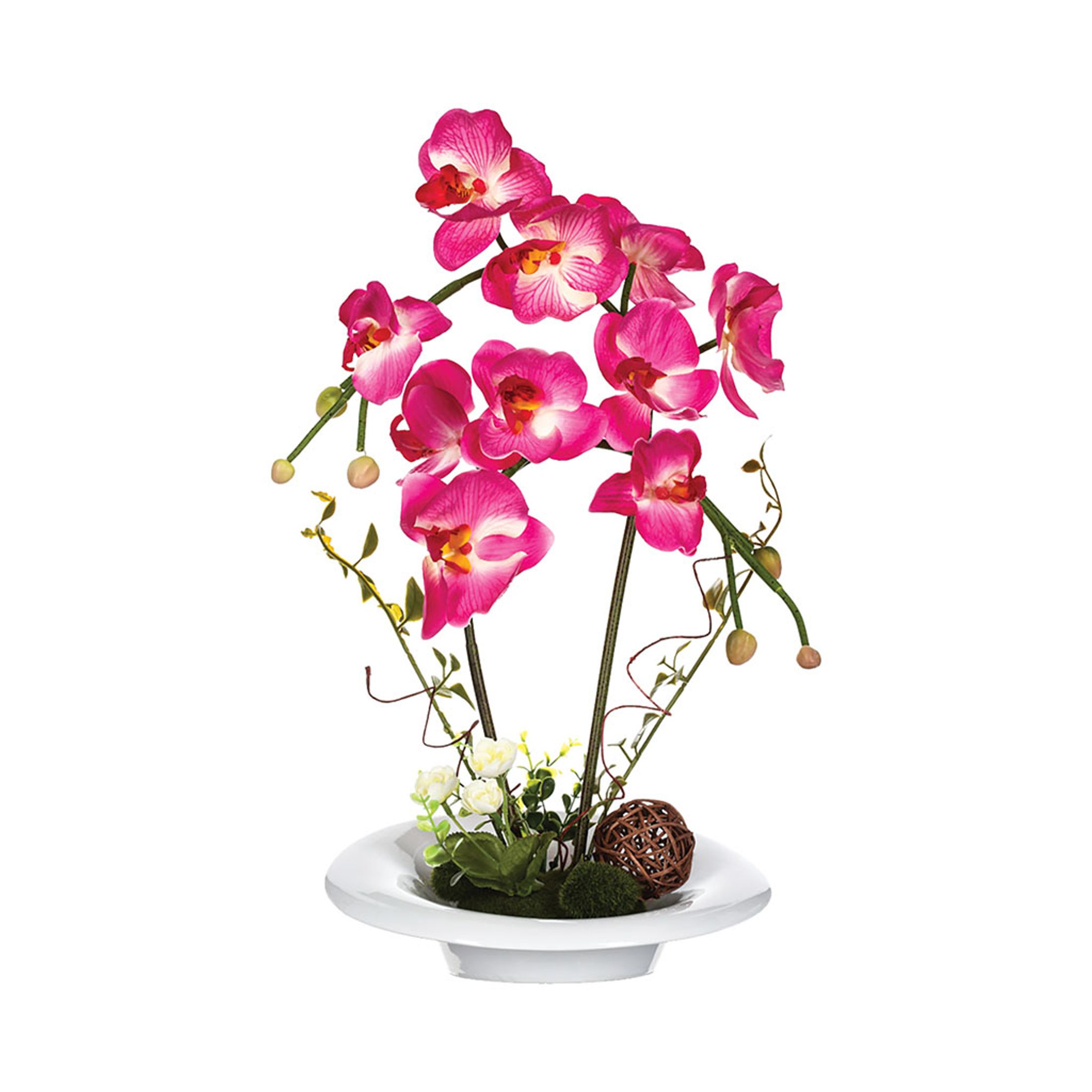 Composition florale orchidée et vase céramique