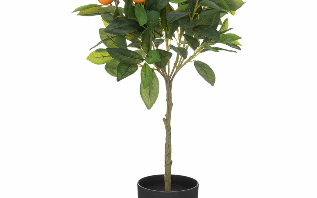 Oranger artificiel
