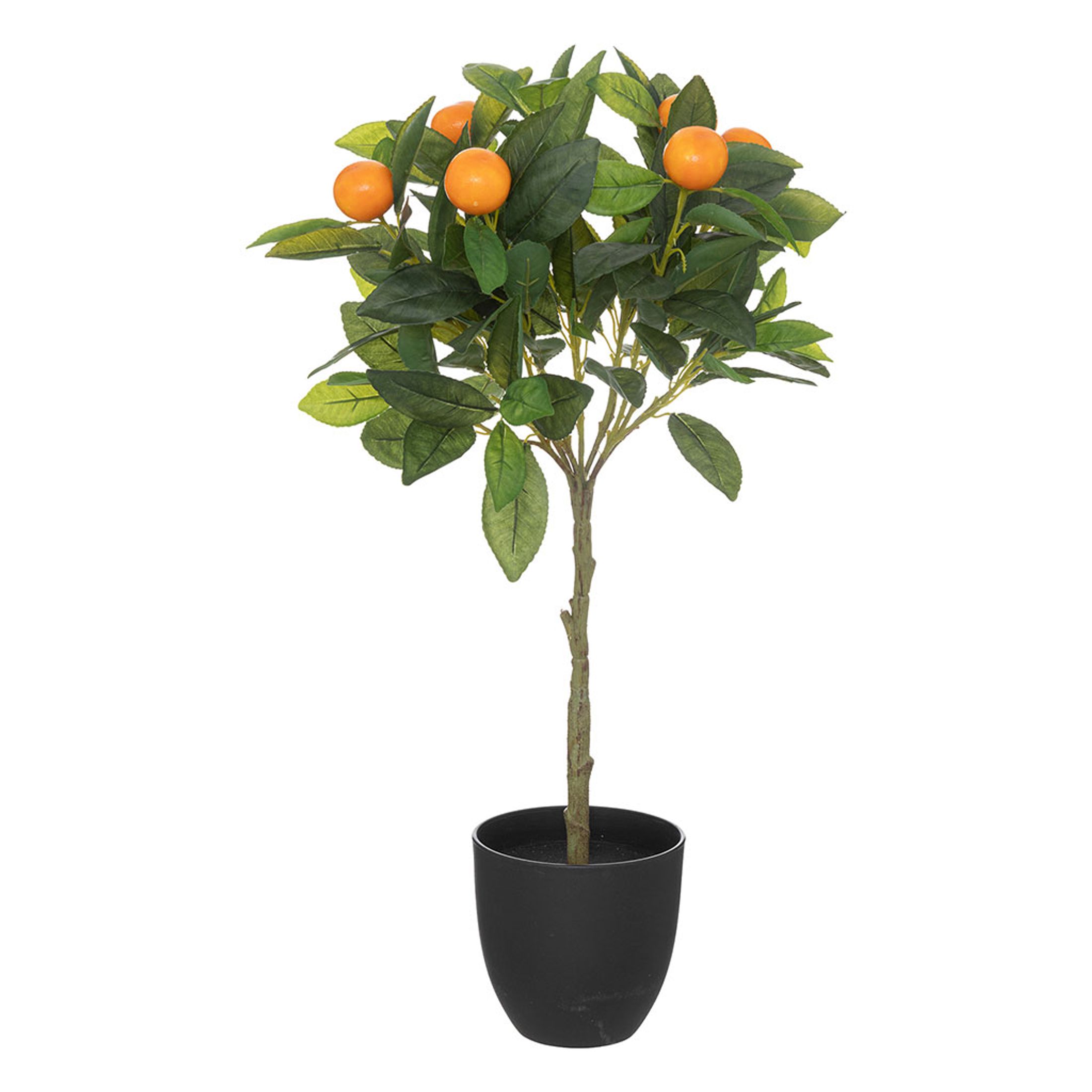 Oranger artificiel